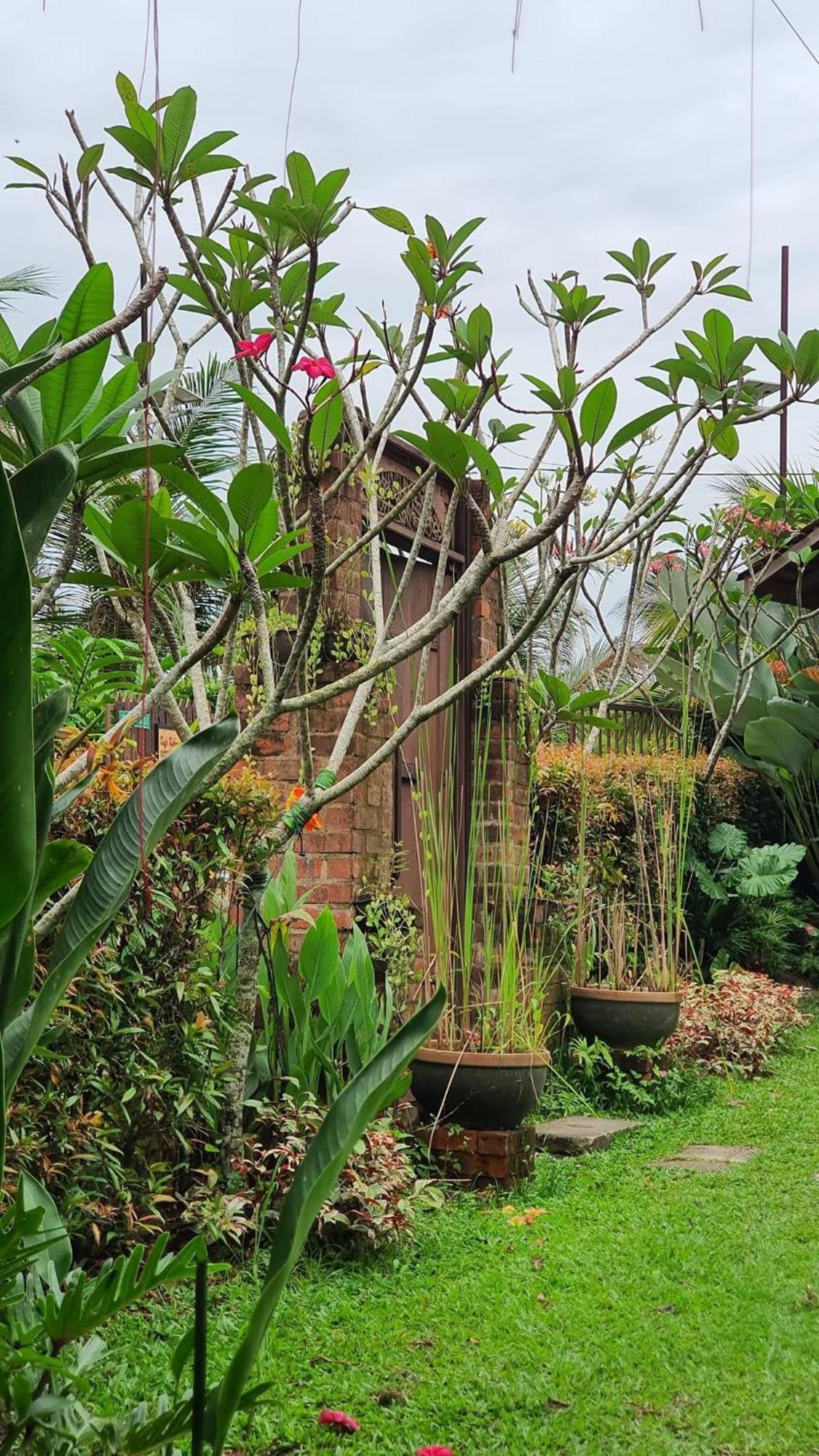 Kebun Puisi Villa Kajang Exterior photo